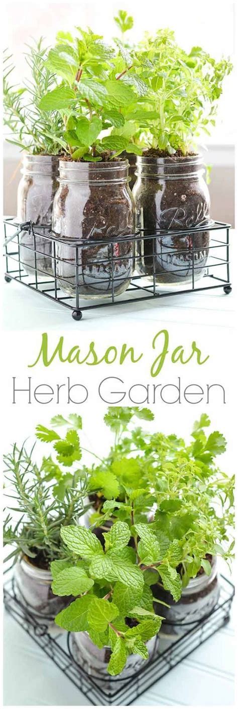 (i'm fully in on the canning jar craze.) 15 Fun and Easy Indoor Herb Garden Ideas | Homesteading ...