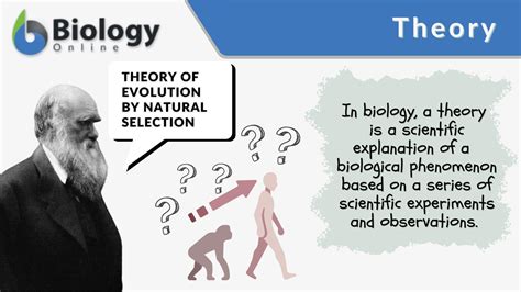 Theory Definition And Examples Biology Online Dictionary