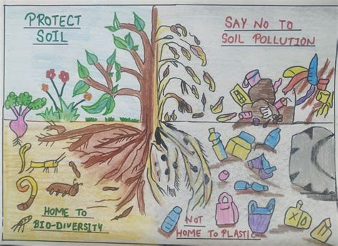 Soil Erosion Prevention Poster