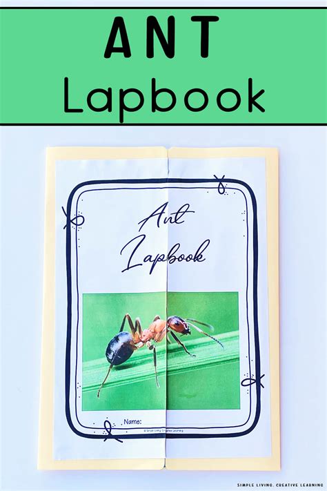 Ant Lapbook Simple Living Creative Learning