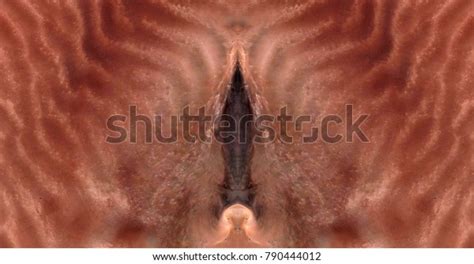 Sex Pussy Vulva Clitoris Vagina Orgasm Foto De Stock Shutterstock
