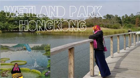 Rute Perjalanan Ke Wetland Park Tin Shui Waihongkong Youtube