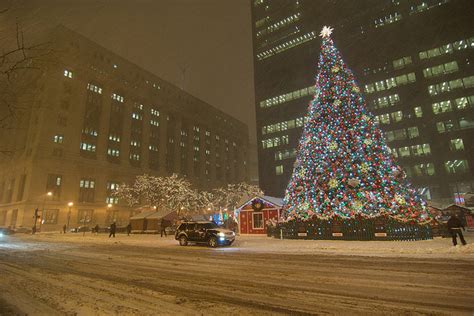 Top 10 Iconic Christmas Trees And Their Roots Huffpost