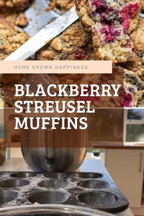 Blackberry Muffins With A Crunchy Streusel Topping Home Grown