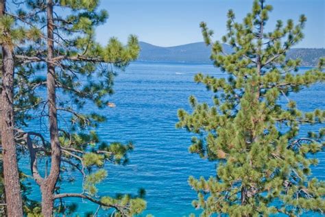Things To Do In Lake Tahoe Beach Babies In The Lake Tahoe Sun Windy