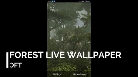Forest Live Wallpaper Youtube