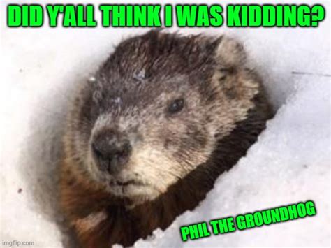 Groundhog In Snow Imgflip