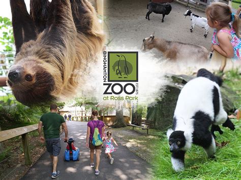 Binghamton Zoo At Ross Park Partners With Bizifit