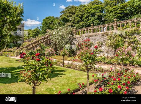 Rose Garden At The Norman Castle Haddon Hall Near Bakewell Derbyshire