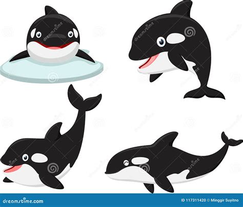 Cute Cartoon Orca Whale Here You Can Explore Hq Orca Whale Transparent