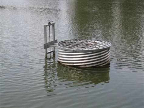 Can be easily disguised to create a natural looking water feature. Leaking Ponds, Pigs, and Sheep Feet - Homesteading and ...