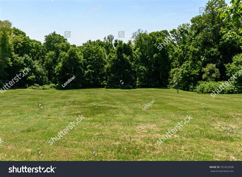 Photo De Stock Green Field Surrounded By Trees 701822938 Shutterstock