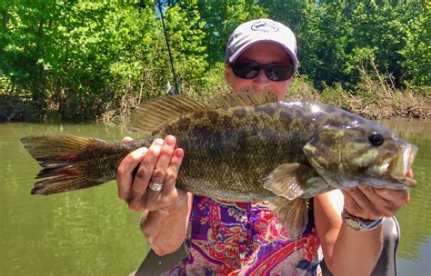 Shenandoah River Smallmouth Bass Albemarle Angler