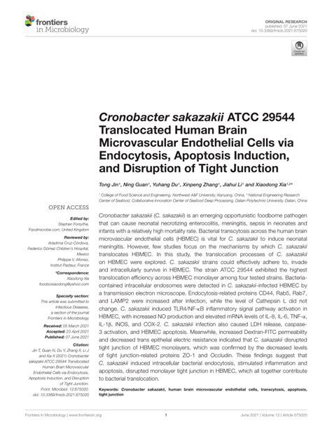 Pdf Cronobacter Sakazakii Atcc 29544 Translocated Human Brain