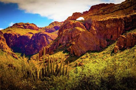 Organ Pipe Cactus National Monument Arizona Photograph By Steve Schrock