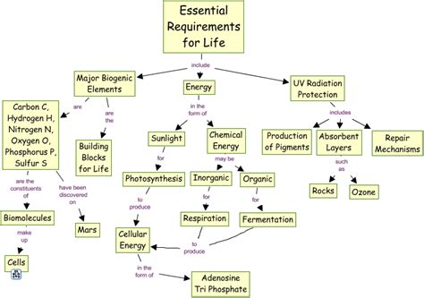 Essential Requirements For Life Essential Requirements For Life