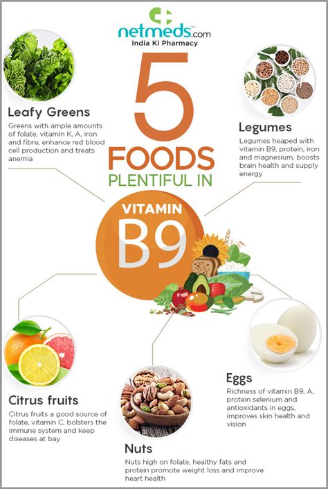5 Foods Incredibly Rich In Vitamin B9 For Overall Health Infographic