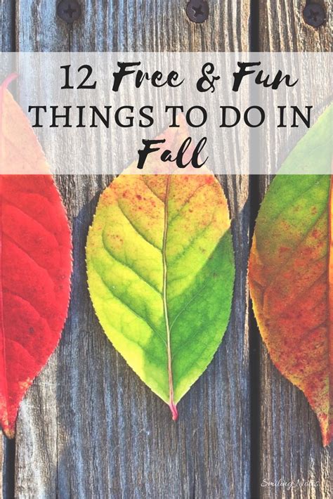 12 Free And Fun Things To Do In Fall