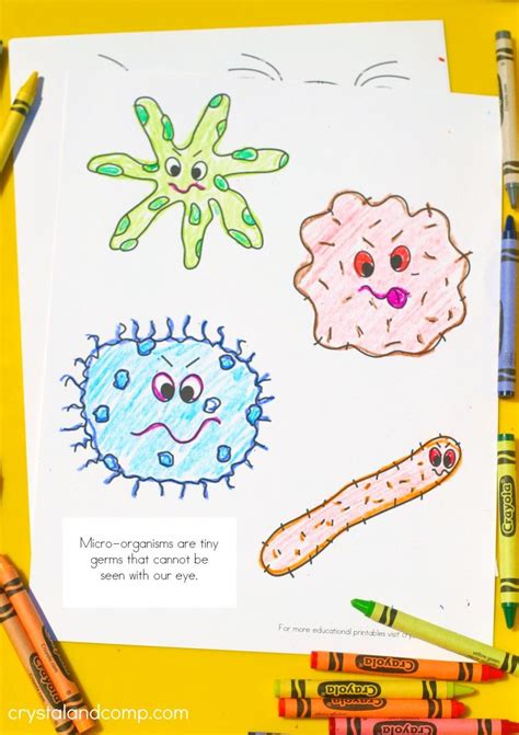 Science Activities For Preschoolers About Germs Teaching Treasure