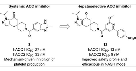 Optimizing The Benefit Risk Of Acetyl Coa Carboxylase Inhibitors
