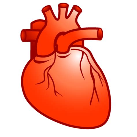 Download High Quality Clipart Heart Real Transparent Png