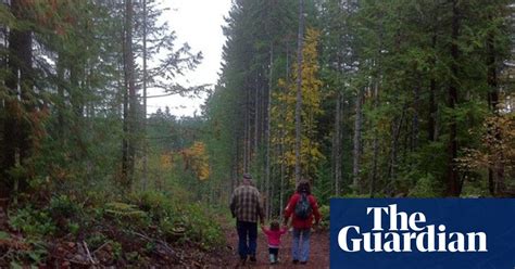 Mom And Pop Forests Struggle To Make Responsible Harvesting Pay Vital