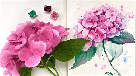 Original Watercolor Of Pink Hydrangeas From My Garden Craibas Al Gov Br