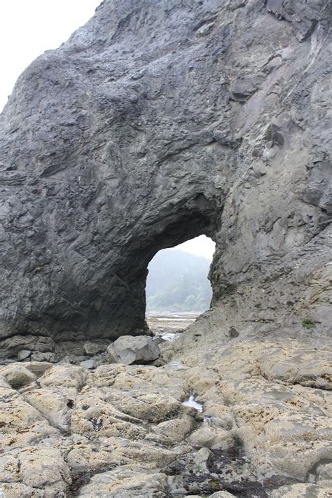 Feb 25, 2021 · rialto beach: Hole in the wall, Rialto Beach, Olympic National Park ...