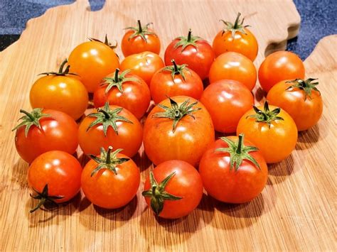 Tomato Isis Candy Seeds Certified Organic Garden Hoard