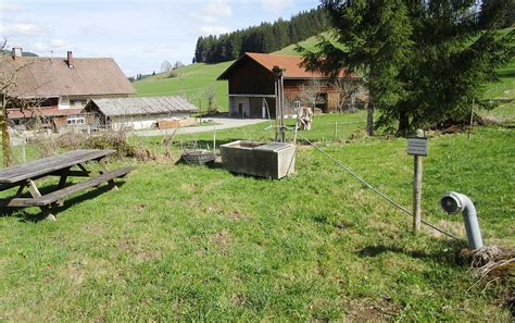 Deutschunterricht an schweizer sekundarschulen, berufsschulen und gymnasien. Beispiele für eine Teilsäule im Allgäu - mit Verkalkungen ...