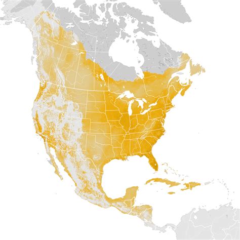 Common Yellowthroat Abundance Map Pre Breeding Migration Ebird