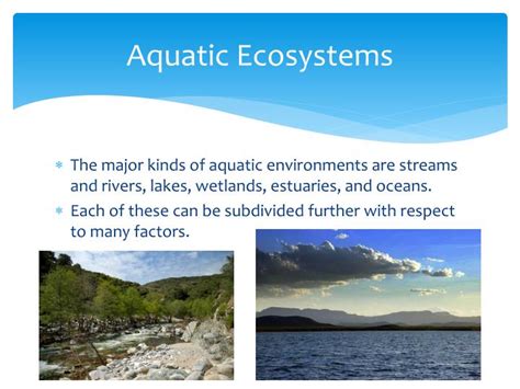 Ppt Aquatic Ecosystems Powerpoint Presentation Id1866324