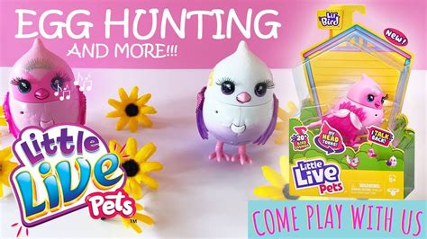 Little Live Pet Birds Fun Adventure Easter Egg Hunt Youtube