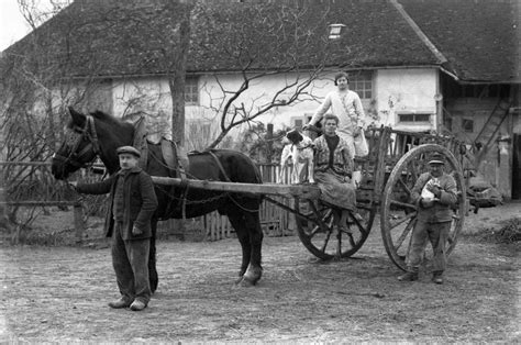 Search Terms Violation Photo Noir Et Blanc France Agricole Photos