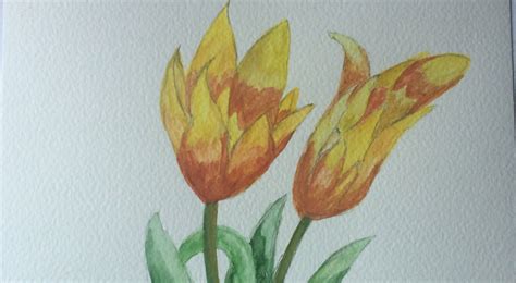 In recognition of mental health awareness week 2021, this may, espn highlights the stories of athletes, coaches and other sports figures who have experienced personal battles with mental health, and who want to use their platforms to openly discuss what happened next, and what helped them. Mental Health Awareness Week 2021 | Media centre ...