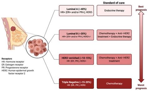 Ijms Free Full Text Reconstituting Immune Surveillance In Breast