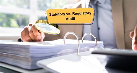 Statutory Vs Regulatory Audit Flyingcolour Tax Services