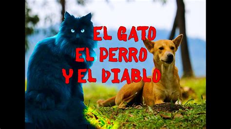 El Gato El Perro Y El Diablo Relato Youtube