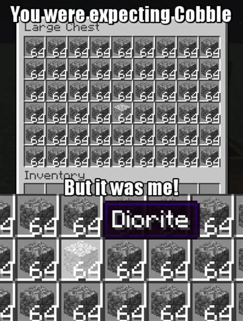 You Were Expecting Cobble But It Was Me Diorite It Was Me Dio