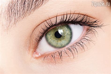 Зеленые Глаза У Мужчин Фото — Фото