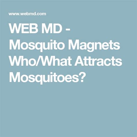 Are You A Mosquito Magnet Mosquito Magnet Mosquito What Attracts