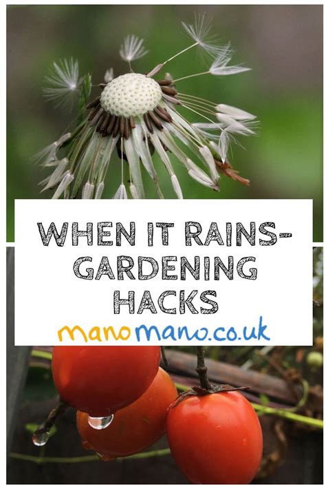When It Rains Gardening Advice Gardening Advice When It Rains Garden