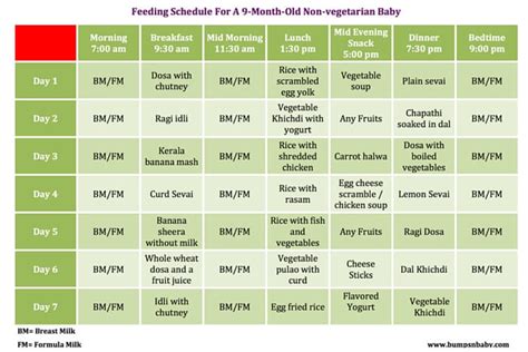 Food Diet For 9 Months Old Baby   Diet Plan
