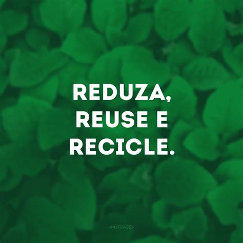 40 Frases Sobre Reciclagem Para Refletir Sobre Sustentabilidade