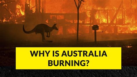 reality of australian bushfires helpaustralia youtube