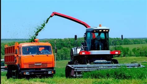 Ce dimanche, l'euro se poursuit. L'Ukraine et les Pays-Bas vont approfondir leur coopération dans le secteur agricole