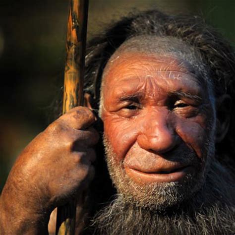 Homo erectus ist eine ausgestorbene art der gattung homo. Homo Sapiens - Eine Mischform? - Allmystery
