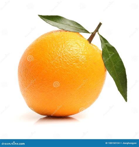 Single Orange Stock Photo Image Of Vitamin Healthy 108150134