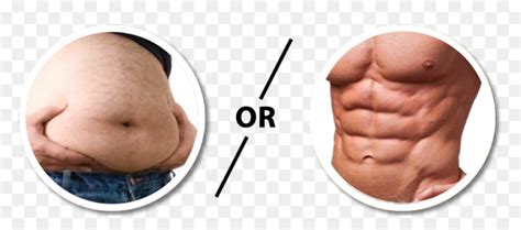 Transparent Six Pack Abs Clipart Fat Stomach Vs Abs Hd Png Download