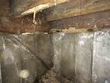 Photos of Flooded Basement White Mold
